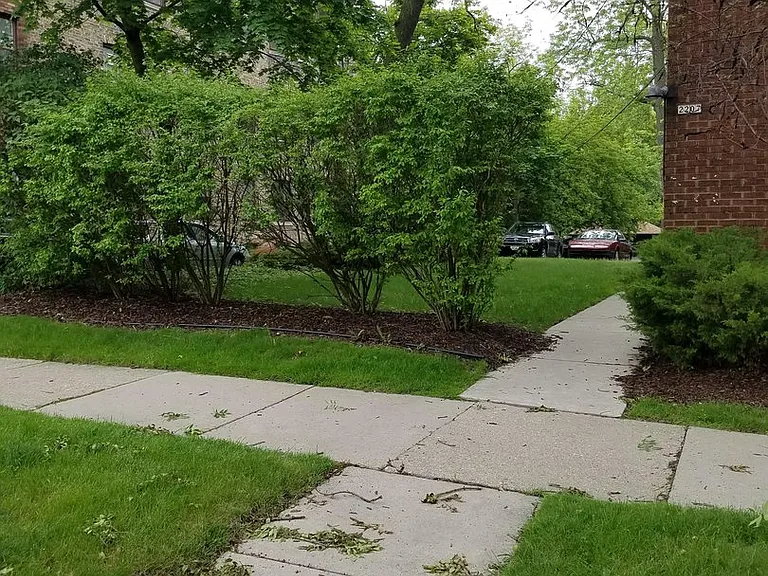 2528 N Maryland Ave — Photo 35