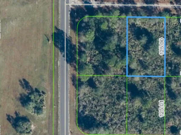 762 American St NW, Lake Placid, FL 33852