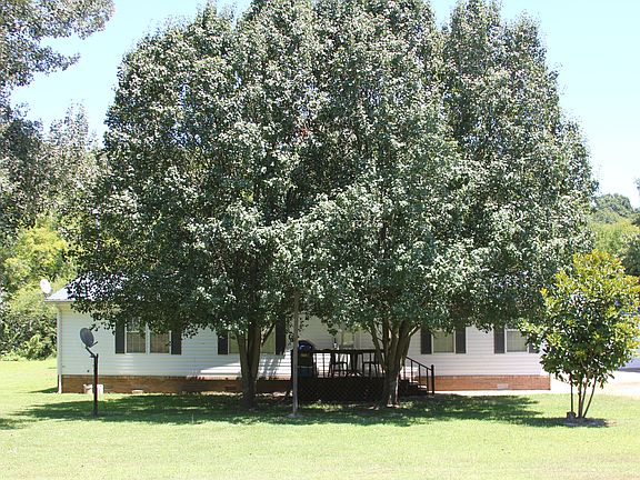 lots of mature trees