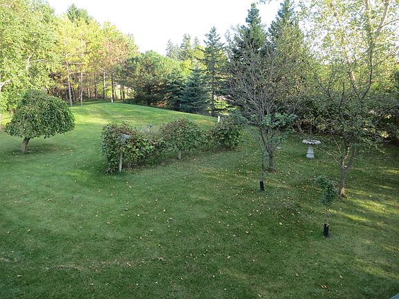 side yard-vines &fruit trees