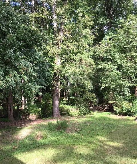 Side of yard next to the driveway.