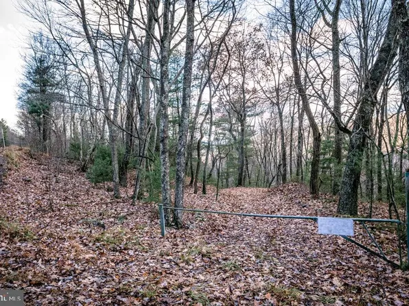 LOT 22 Buck Ridges Rd, Franklin, WV 26807