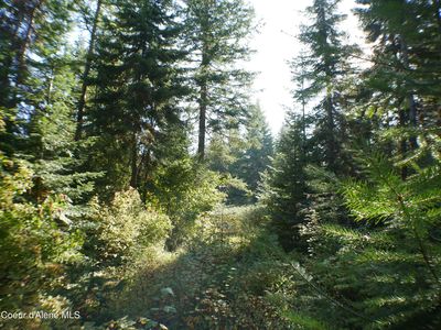 Mutch Creek Rd PARCEL 4, Saint Maries, ID, 83861