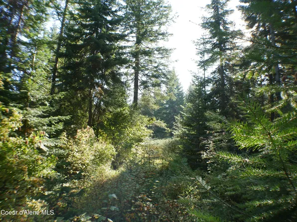 Mutch Creek Rd Parcel 4, Saint Maries, ID 83861