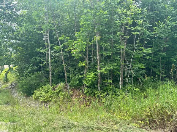 Lot 7 Winkumpaugh Corners, Orland, ME 04472