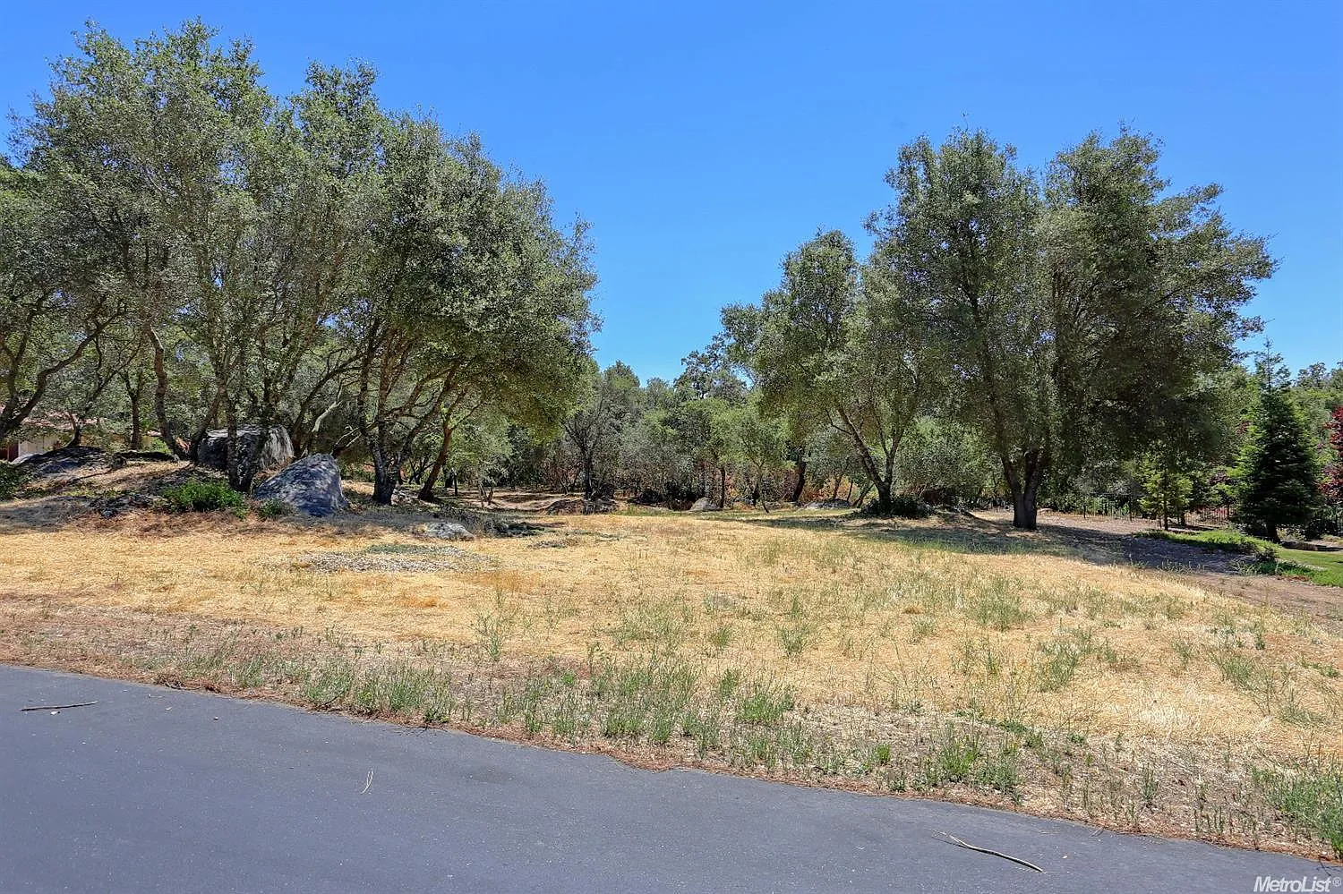 8320 Rustic Woods Way photo 1