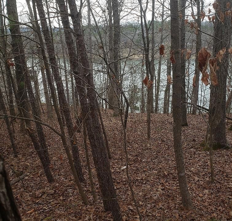1st image of (Undisclosed Address)