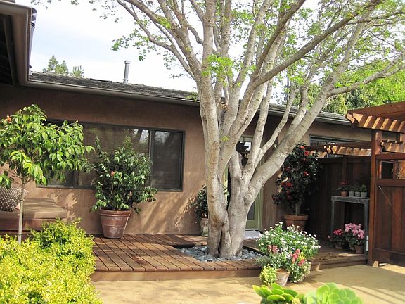 front deck and japanese maple tree, daybed and built in storage, front entry door