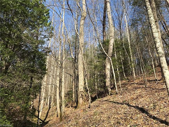 5th image of 1455 Caseys Branch Rd