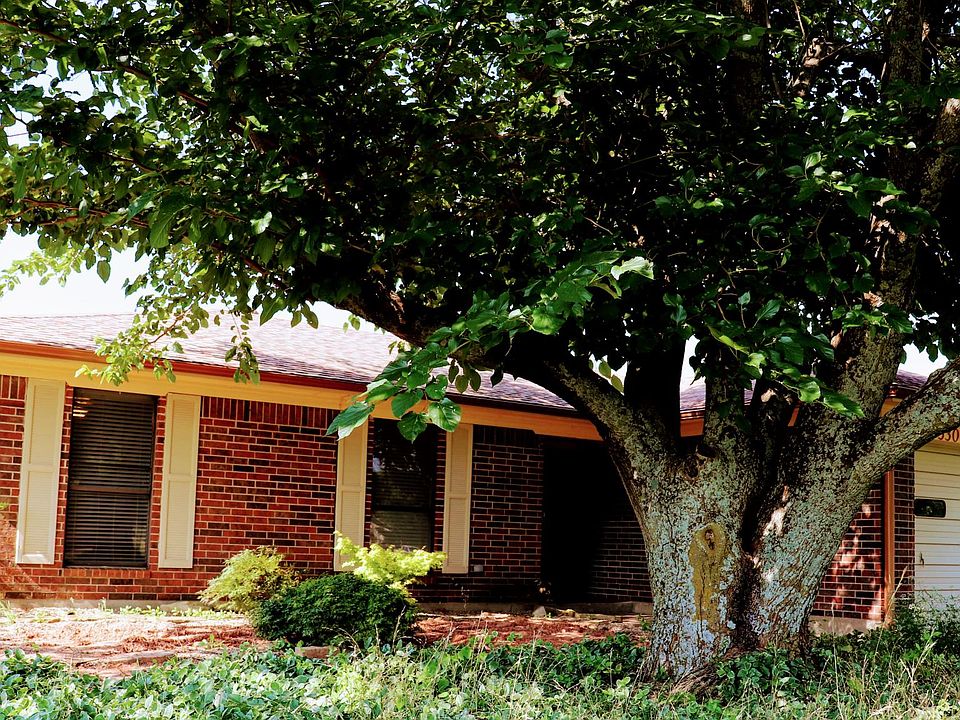 Front of the house with large shade tree and Japanese maple trees.