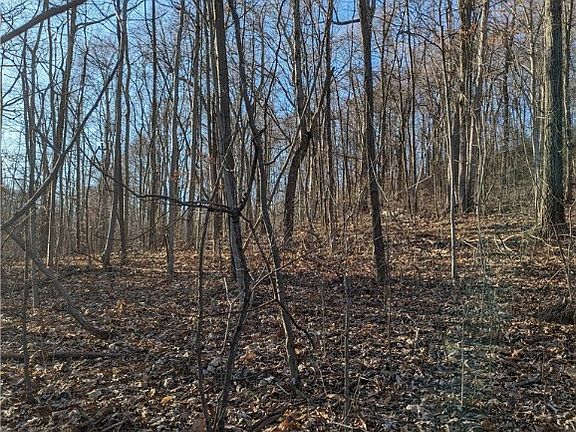 5th image of 65130 Batesville Rd