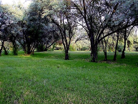 2nd image of Waterfront Property Paree's Island #Acreages