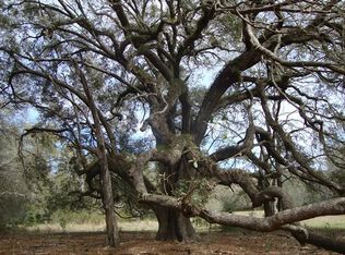 77 Northwest Pl, Chiefland, FL 32626