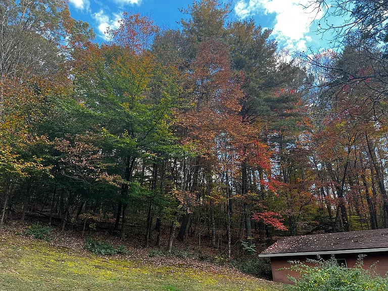 456 Old Highway 5 N — Photo 13
