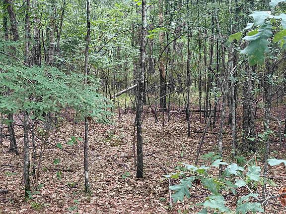 4th image of County Road 1202 Old Town Rd