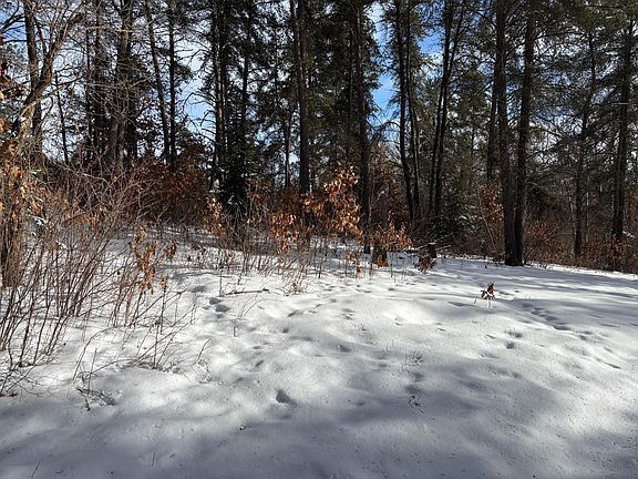 5th image of Arbor Rd