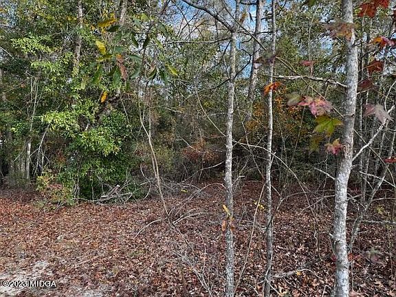 4th image of 185 Hidden Creek Cir