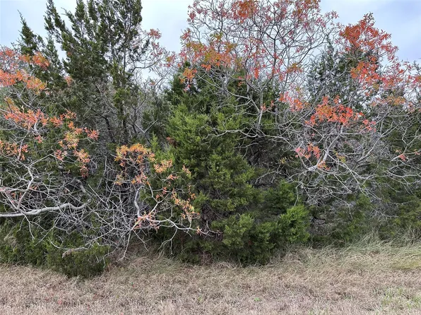 43198 Fringewood Dr, Whitney, TX 76692