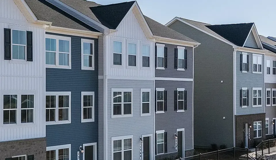 Silver Birch Dr