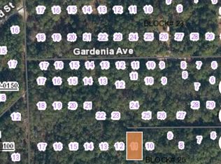 113 Palm Way, Georgetown, FL 32139