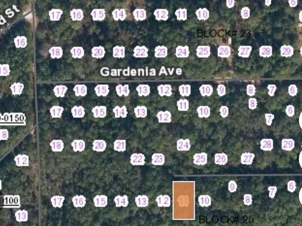 113 Palm Way, Georgetown, FL 32139