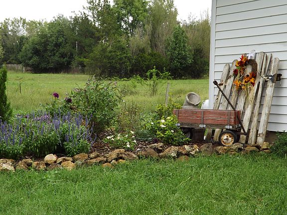 Worry free-Perennials-Shrubs