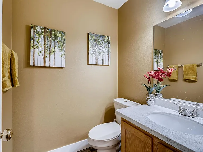 1232 Dusty Creek St — Photo 13
