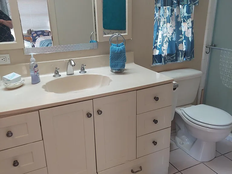 VanLarge vanity area with plenty of storage.