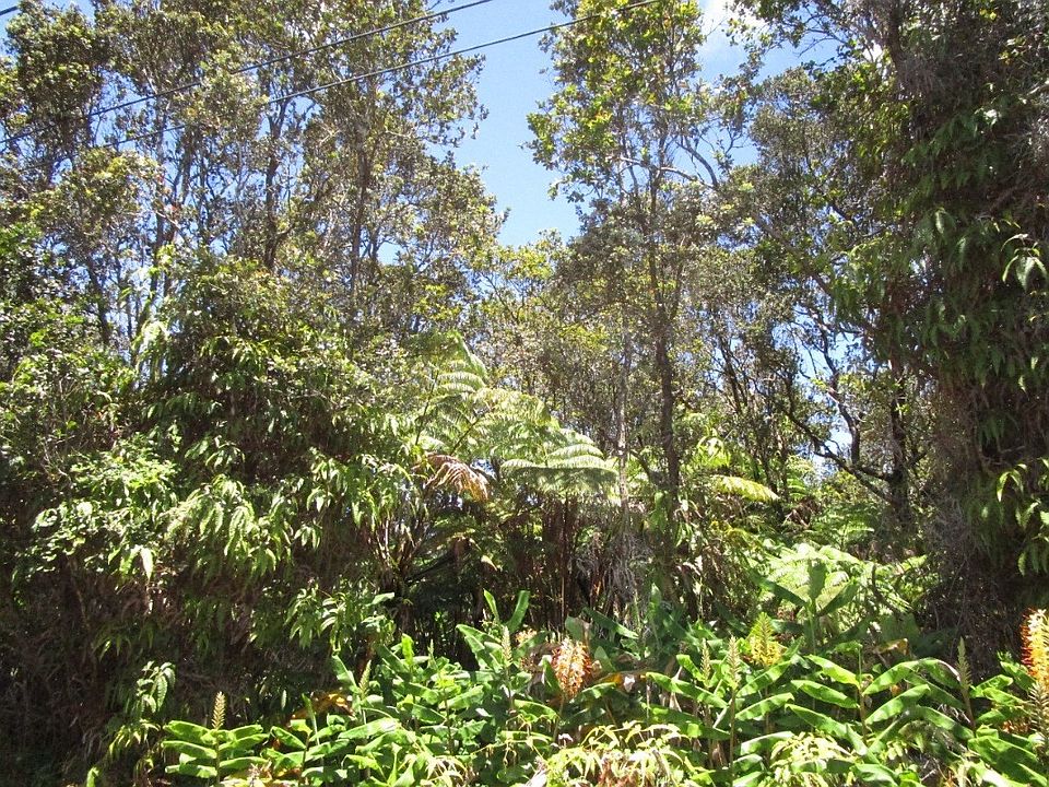 2nd image of 11th St Lot 973