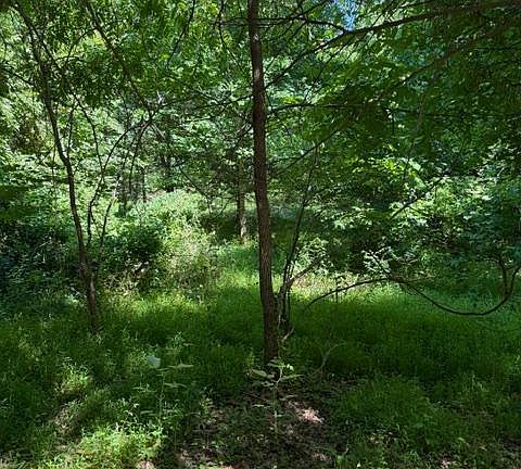 5th image of 916 Woodward Ln