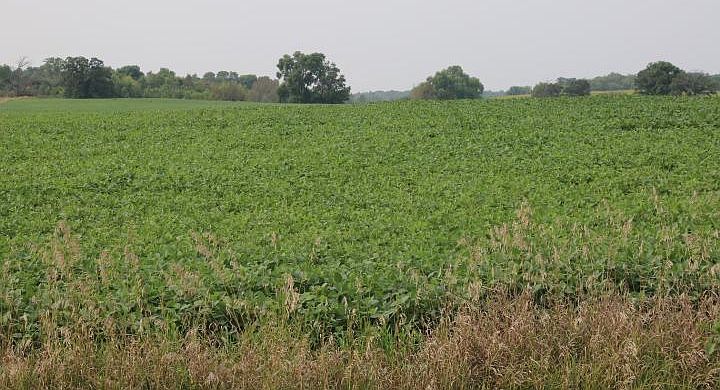 1st image of 2 County Road 14 NE