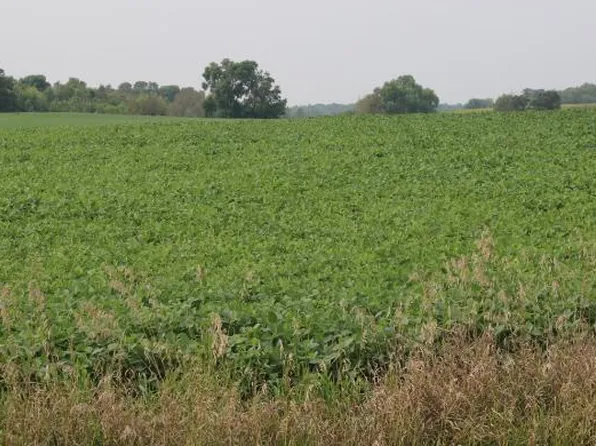 2 County Road 14 NE, Eagle Bend, MN 56446