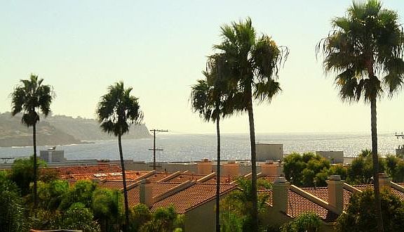 2nd image of 1200 S Catalina Ave #417