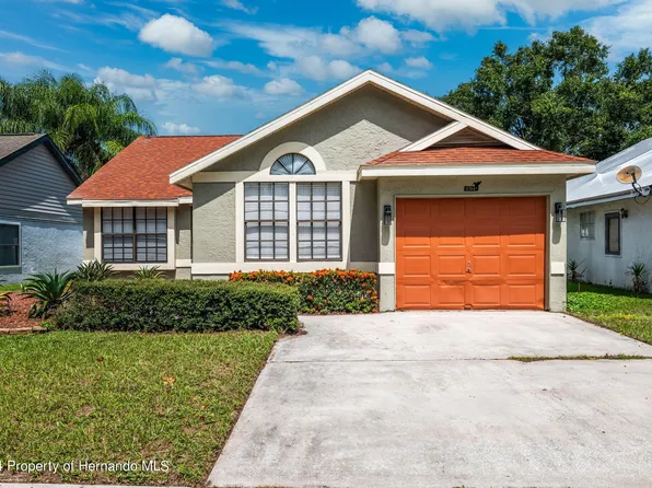 11314 Maybrook Ave, Riverview, FL 33569