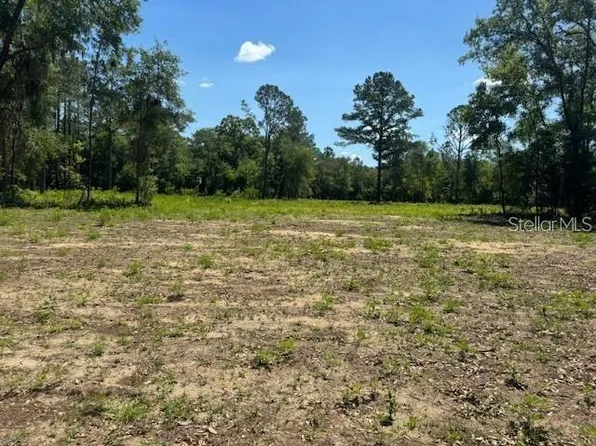 NE 78th Ln, Bronson, FL 32621