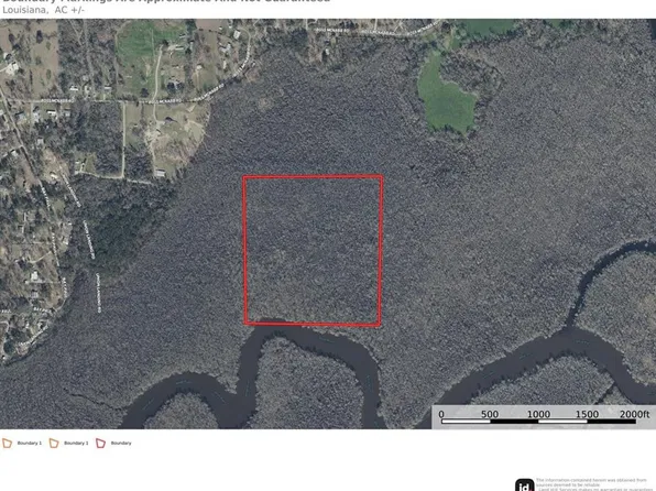 Boss McNabb Rd, Livingston, LA 70754