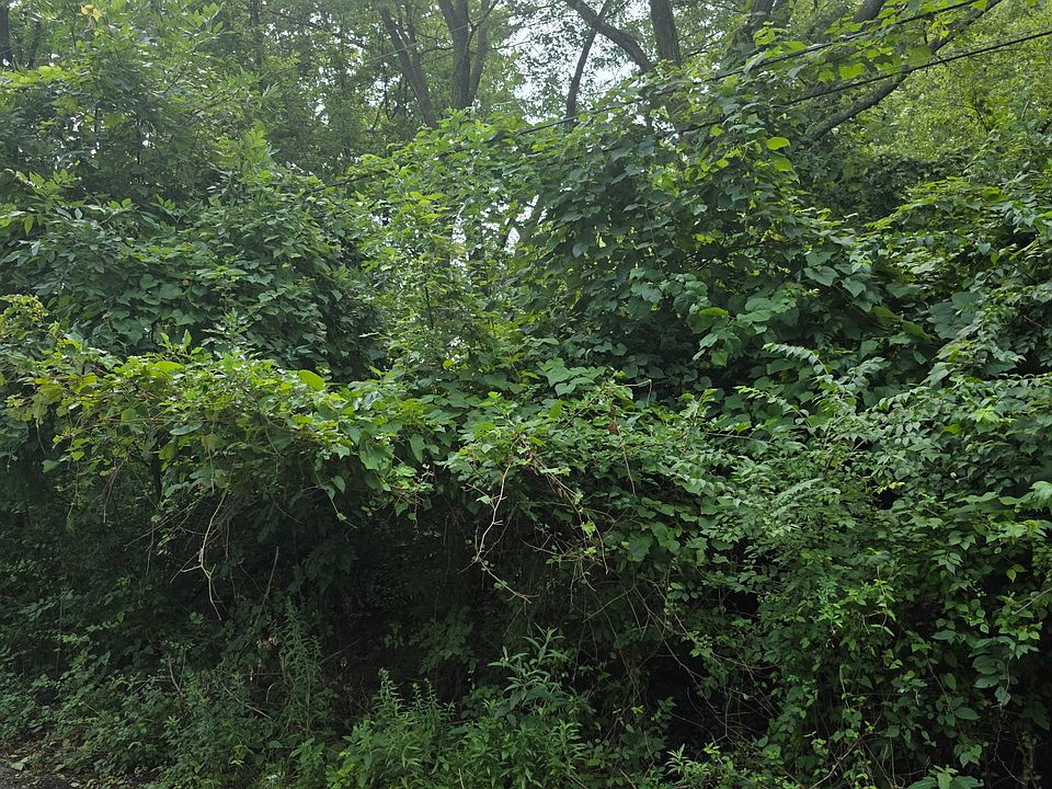 2nd image of 7425 Mount Herman Ave