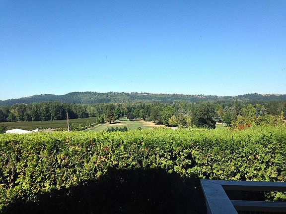 View from living room