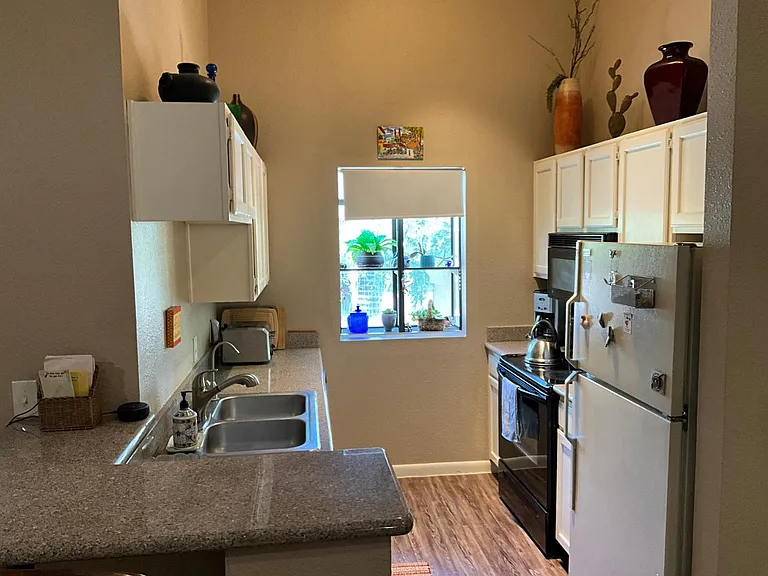 747 S Extension Rd #207 — Photo 7