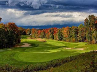 236 Hawks Eye Dr #236, Bellaire, MI 49615