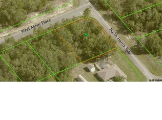 770 W Abner Pl, Citrus Springs, FL 34434