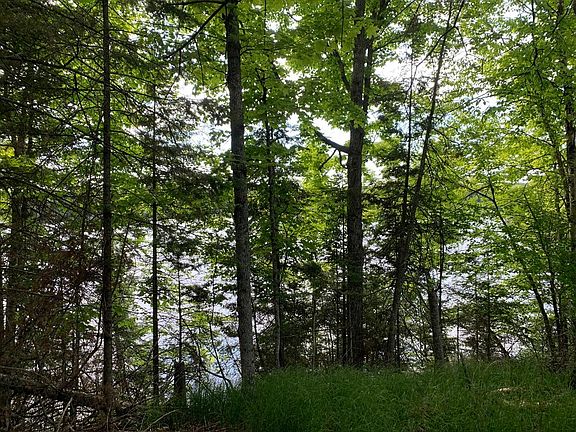 3rd image of SW-NW FISHER LAKE RD