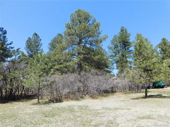 7347 Fremont Place, Larkspur, CO 80118