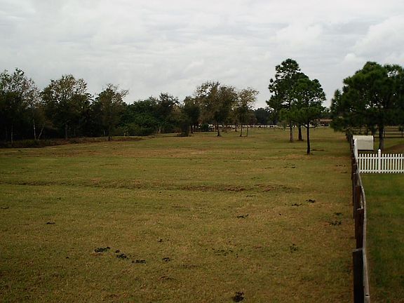 Beautiful grass pastures