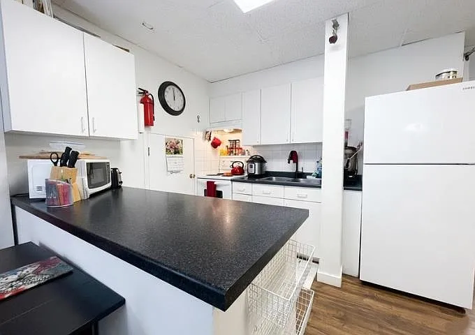 384 Blue Mountain St #BASEMENT — Photo 12