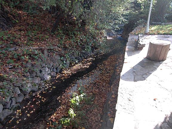This is taken at a low water level time. When it rains the creek is much fuller and water level is higher.