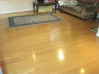 3rd image of 947 Mouton Cir