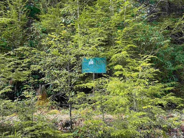 109 Florence Ct, Davis, WV 26260