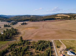 13303 E Gibbs Rd, Mica, WA 99023