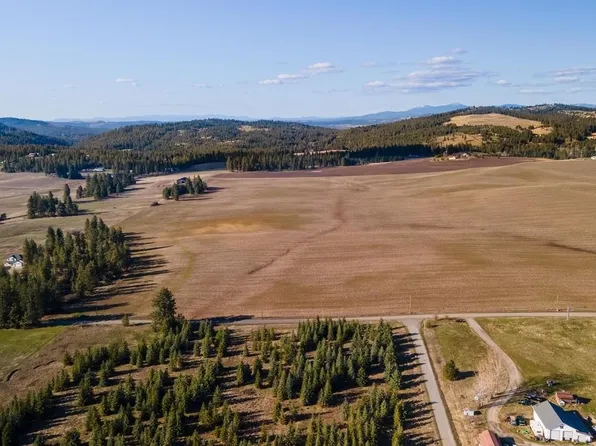 13303 E Gibbs Rd, Mica, WA 99023